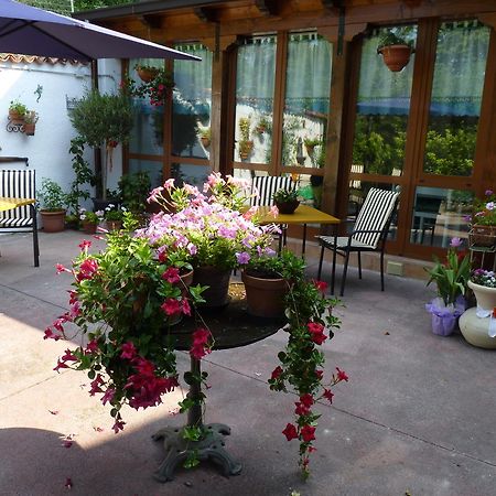 Casa Dodic Bed and Breakfast Trieste Exterior foto